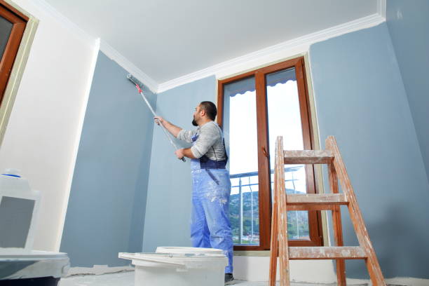 Best Mold Documentation for Insurance Claims  in Eagle, CO