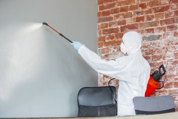 Best HVAC Mold Inspection and Cleaning  in Eagle, CO