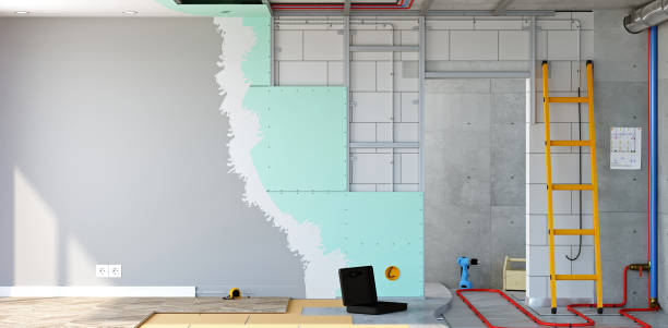 Best Emergency Mold Remediation  in Eagle, CO