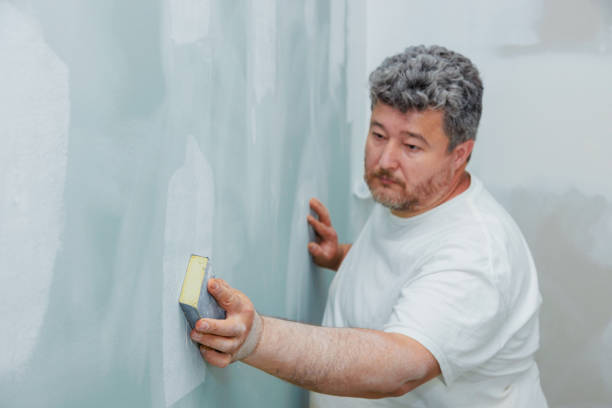 Best Mold Removal for HVAC Installations  in Eagle, CO