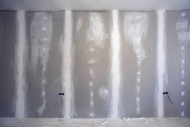 Best Forensic Mold Investigation  in Eagle, CO